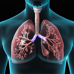 بیماری های تنفسی و علت آن